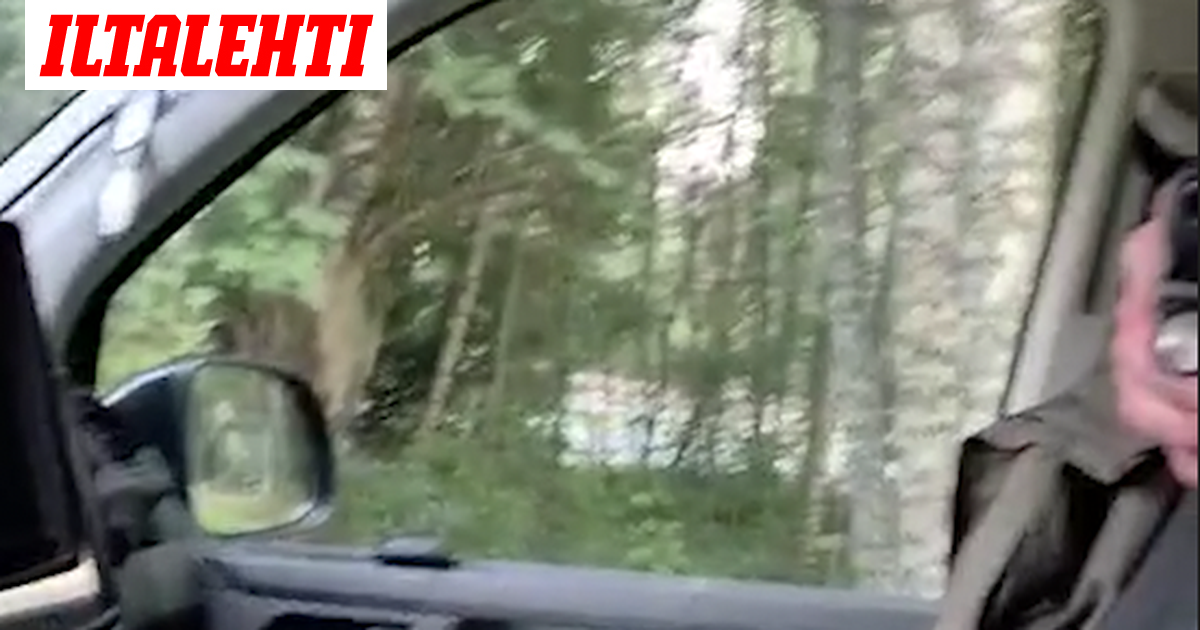 www.iltalehti.fi