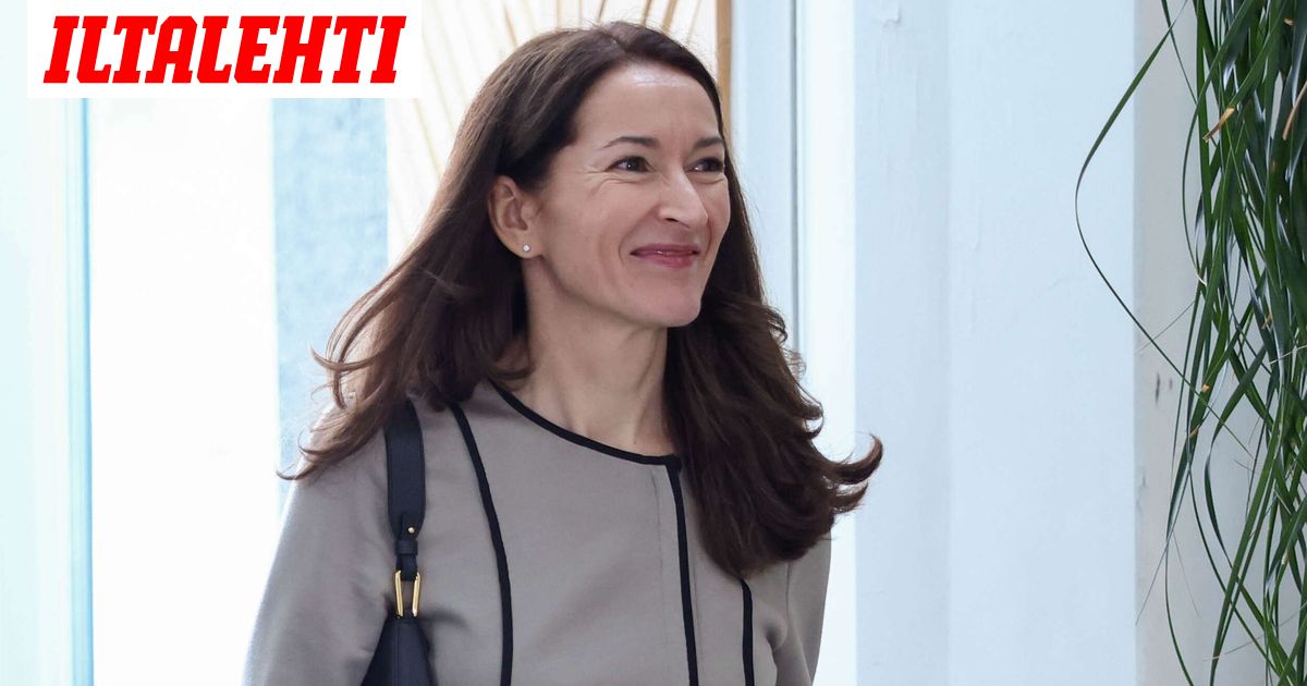 Tällainen on Suzanne Innes-Stubbin uusi työ – ”Varmasti ottajia riittää”