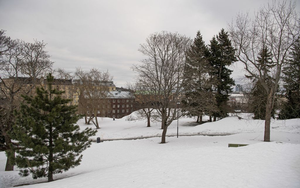 Helsingin Lenininpuiston nimenmuutos etenee