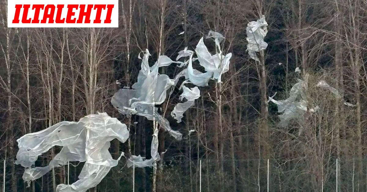 Video: Mystinen valkoinen peite puissa hämmensi Helsingissä