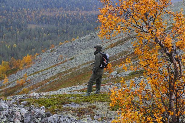 Pallas-Yllästunturin kansallispuistosta löytyy satoja kilometrejä merkittyä reittiä.