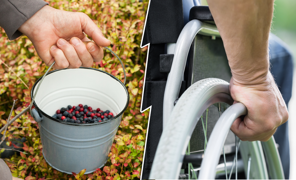 Kohtalokas horjahdus marjareissulla vei miehen pyörätuoliin – joutui selkäleikkaukseen ja halvaantui, oikeus hylkäsi korvaukset