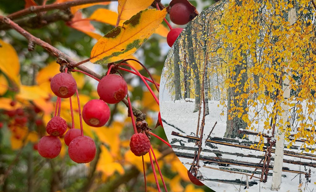 Eteläkin hehkuu nyt ruskan väreissä - näin kaunis on syksyinen Suomi