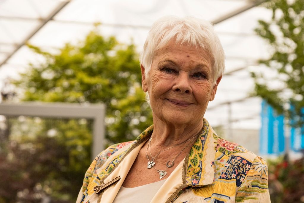 Näyttelijä Judi Dench, 85, nauttii rakkauselämästään: yhteisiä uinteja, samppanjaa ja paljon naurua