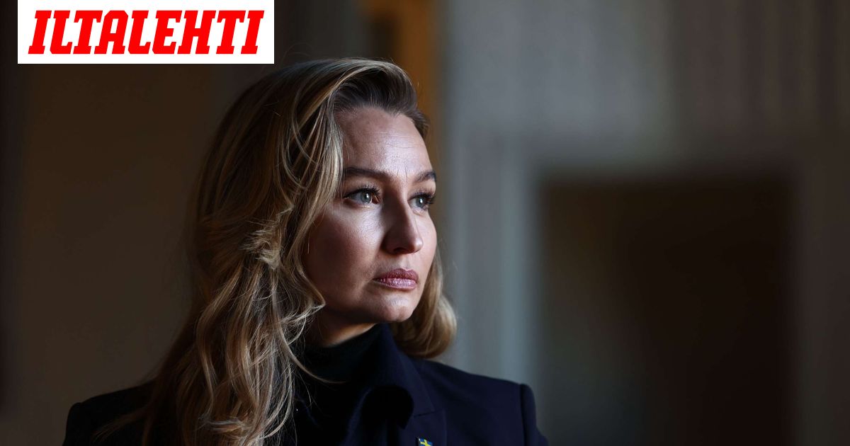 Elon Muskin keksintö riisui Ruotsin varapääministerin