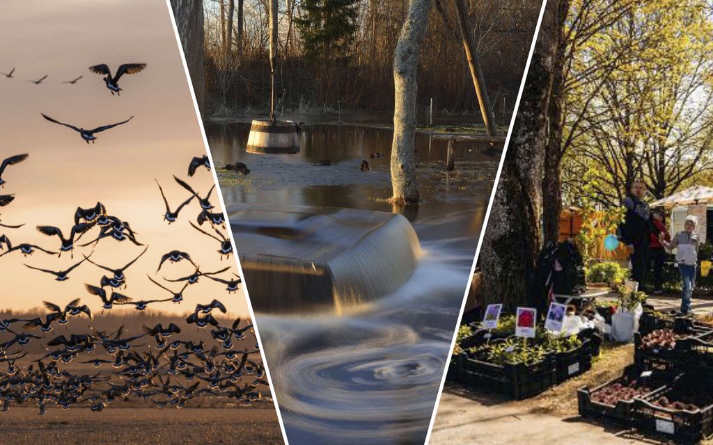 5 upeaa kohdetta keväisessä Virossa