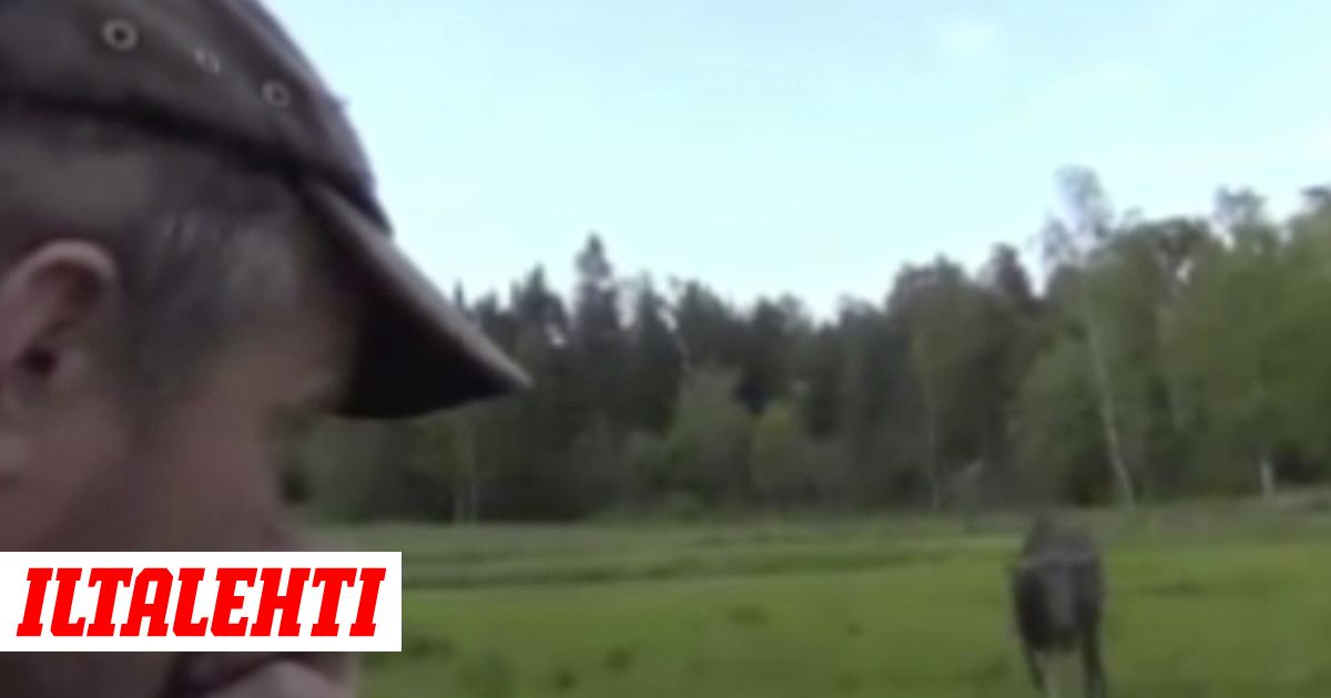 Christy Marks anaali porno