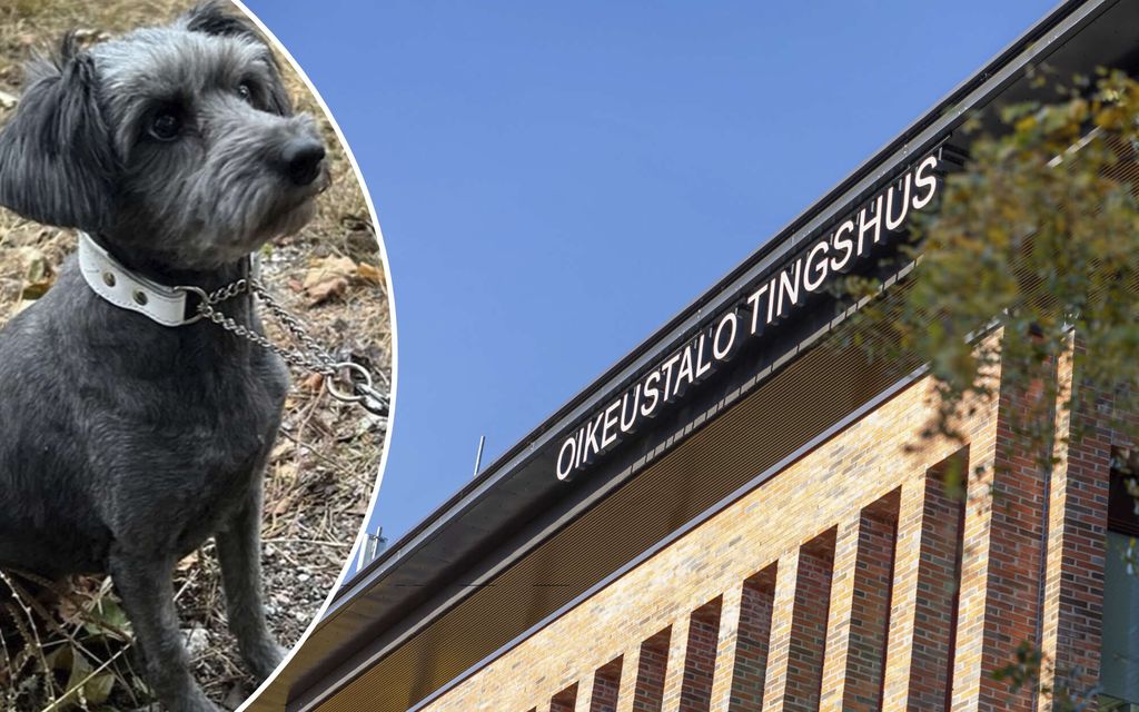 Hesy-aktiivi väitti Pimu-koiran kuolleen – Ottikin itselleen
