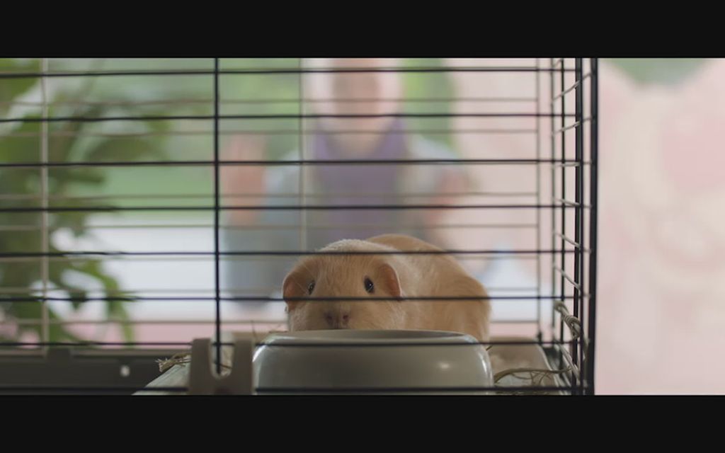 Maserati porno elokuvaa bideos pornoa putki