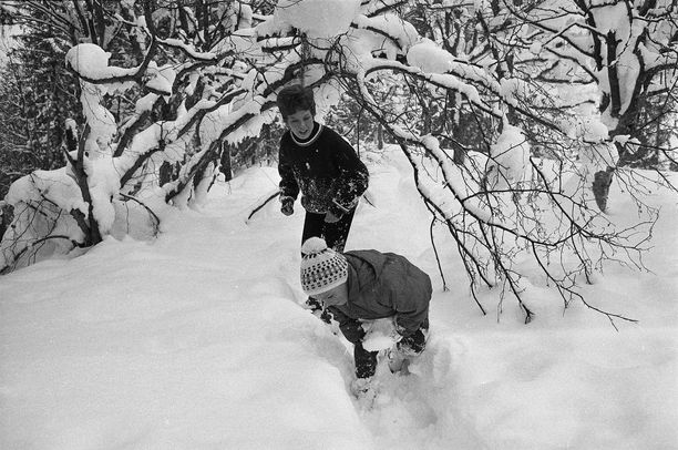 Musta teini cameltoes