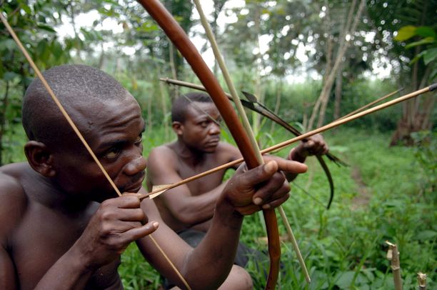 Kongon pygmit ovat säilyttäneet vuosituhansia vanhat traditionsa. 