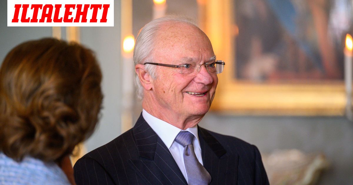 Silvia : ce qu'il faut savoir — image 2