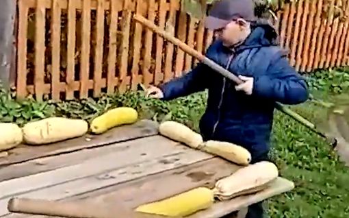 Nerokas isoisä kasasi vihannes­sadostaan pojille pelivälineet – näin taittuu biljardi Venäjällä