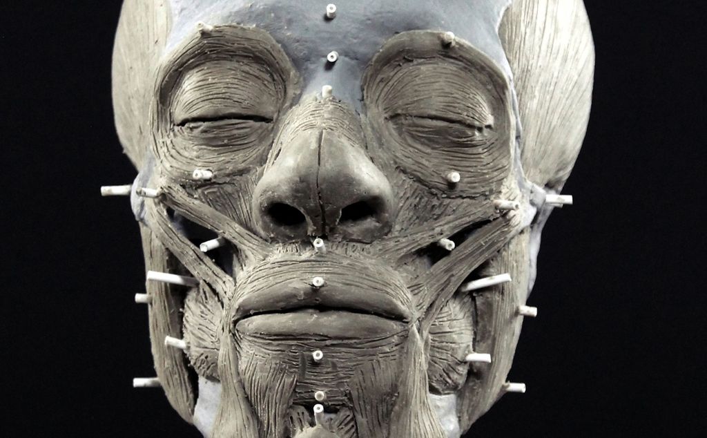 4000 vuotta sitten kuolleen naisen kasvot rakennettiin uudelleen – tältä hän näytti