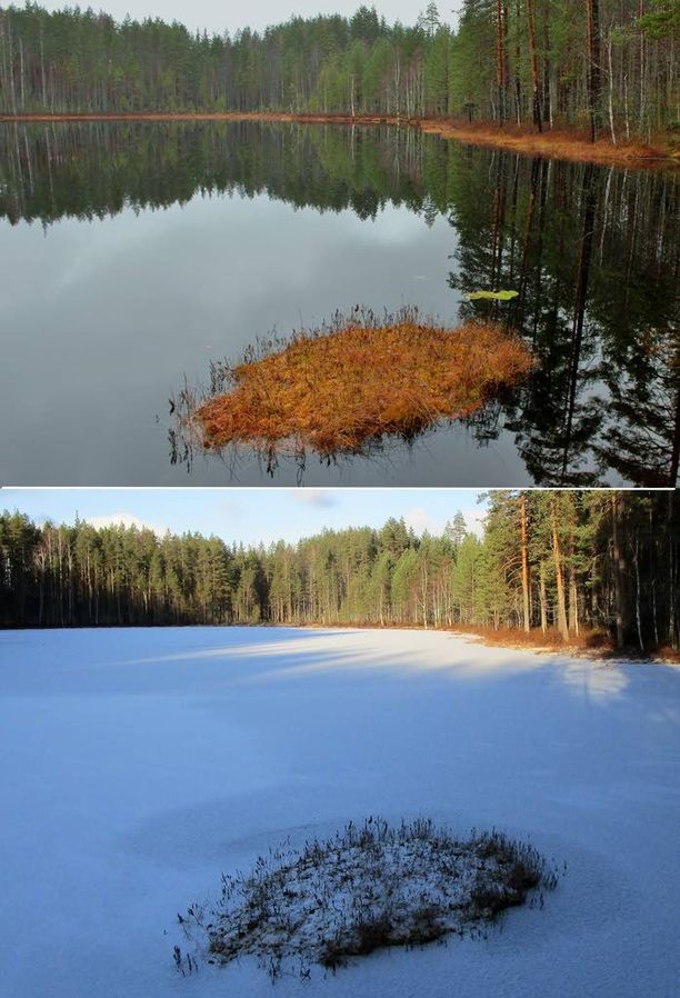 Talvi kiristi otettaan viikossa. Pohjois-Karjalan Kontiolahdella Välilampi oli sulana vielä viikko sitten, mutta viikon kuluessa lampi on saanut jää- ja lumipeitteen.