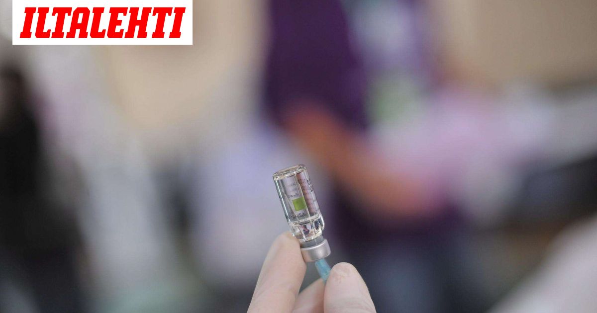 Sikainfluenssa: Kolme uutta kuolonuhria Suomessa