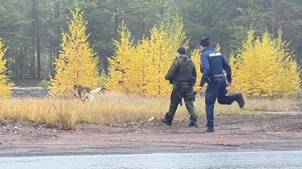 featured suomeksi ukrainalaiset naiset etsii miestä harjavalta