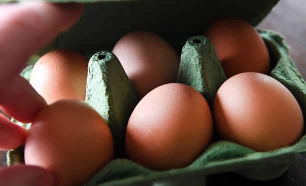 Kananmunia supermarketissa Britanniassa. Munakriisi on levinnyt useisiin Euroopan maihin.