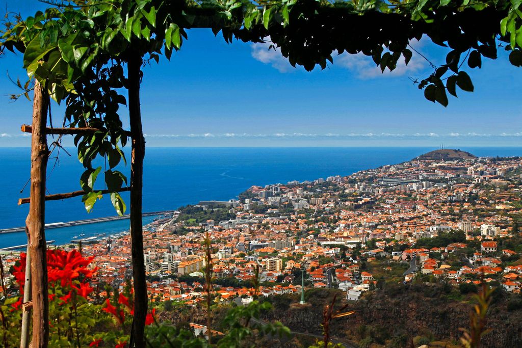 Madeira on nyt suomalaisten suosikki­kohteita – 10 kuvaa, jotka kertovat kuinka kaunis se on