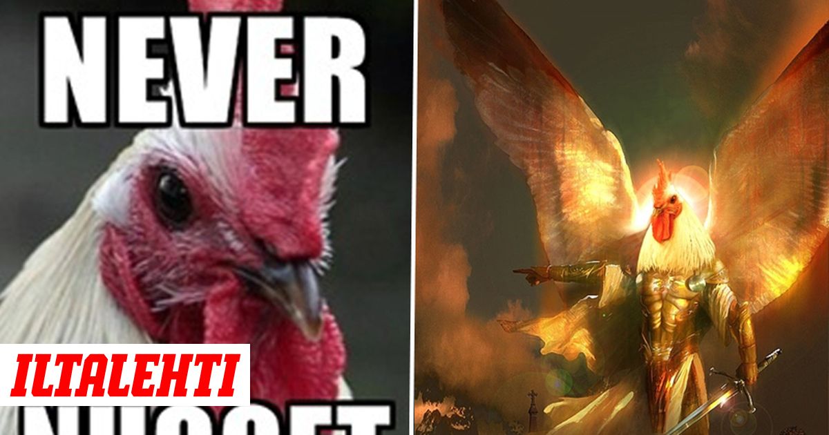 hardcore lesbo pillua nuolla