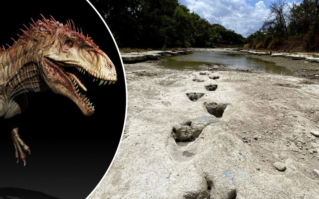 113 miljoonaa vuotta vanhat dinosaurusten jalanjäljet löytyivät Texasista