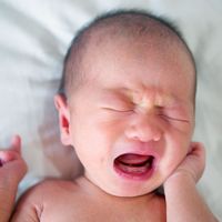 Vauvafaktat: 10 kiinnostavaa faktaa vauvoista