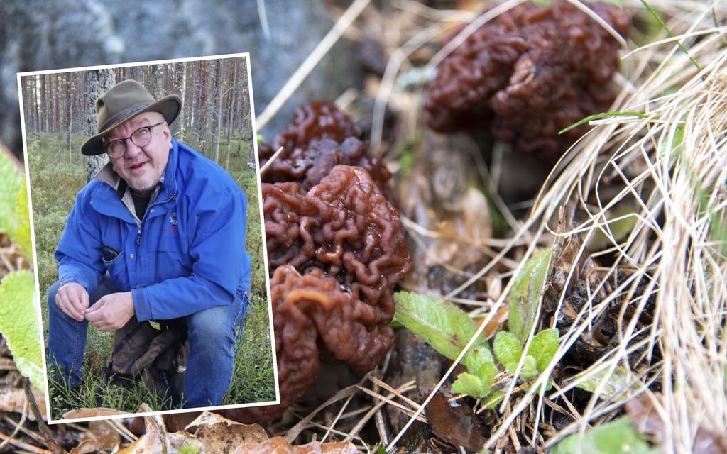 Vain hetkessä Eskon yritys joutui mankeliin – Nyt tulee pyyhkeitä: ””Hyvin on onnistuttu tappamaan 