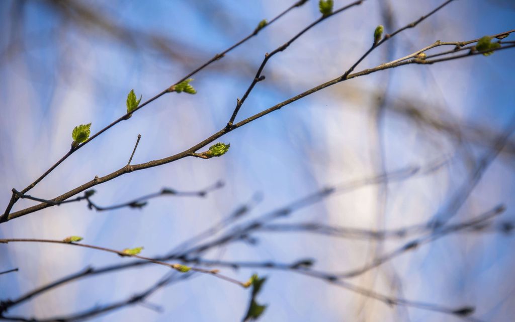 Hekumallinen kevätsää jatkuu – Täällä voi tulla pian vettä