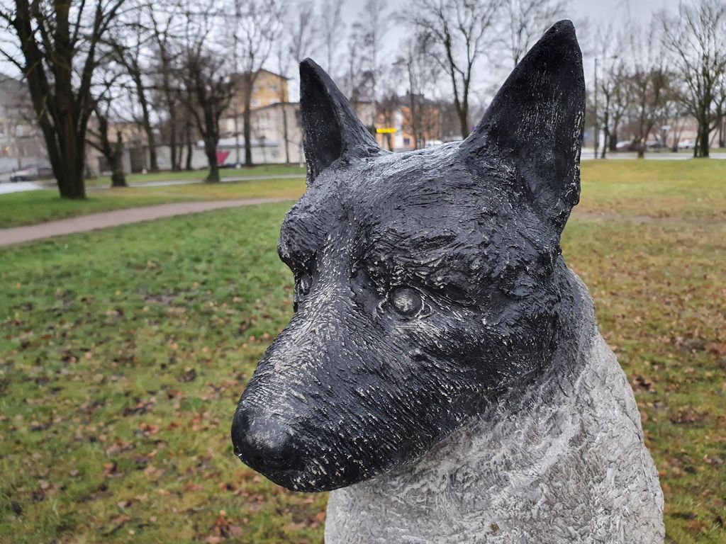 Tallinnan kuuluisa kulkukoira sai oman patsaan – ja kodin eläkepäivikseen