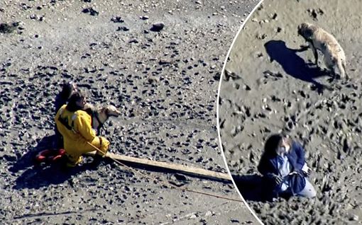 Yhdysvaltalais­nainen keräsi kiviä rannalla - joutuikin yllättäen pelastet­tavaksi