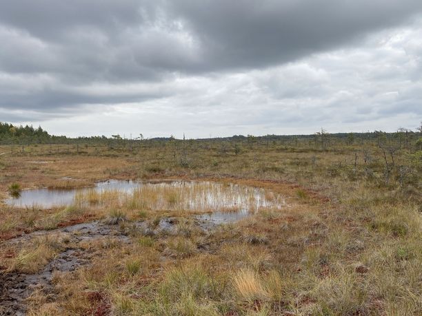 Valkmusan kansallispuisto löytyy Kymenlaaksosta.