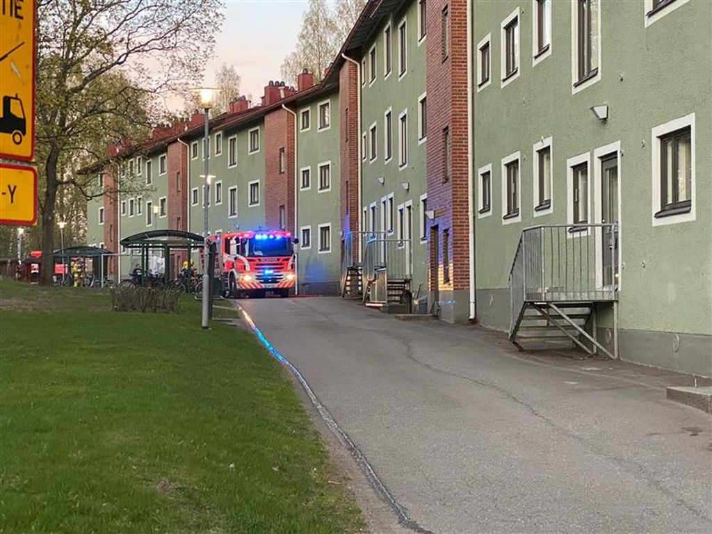 Palokunta pelasti lemmikkikissan tulipalosta Helsingin Siilitiellä 