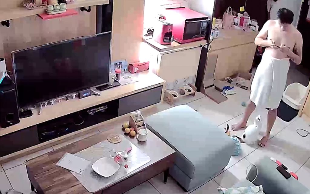 Kissa luuli löytäneensä uuden lelun miehen pyyhkeen alta – Hulvaton tilanne tallentui valvonta­kameralle Taiwanissa