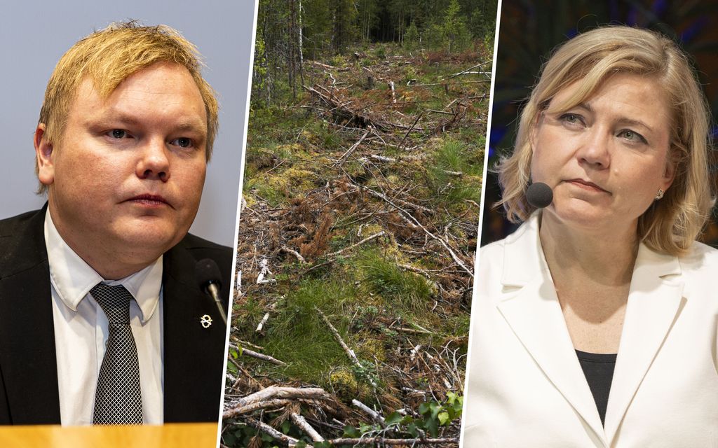Kommentti: EU-asetuksesta 930 miljoonan vuosi­kustannukset Suomelle – hallituksella edessä ”metsäsota”