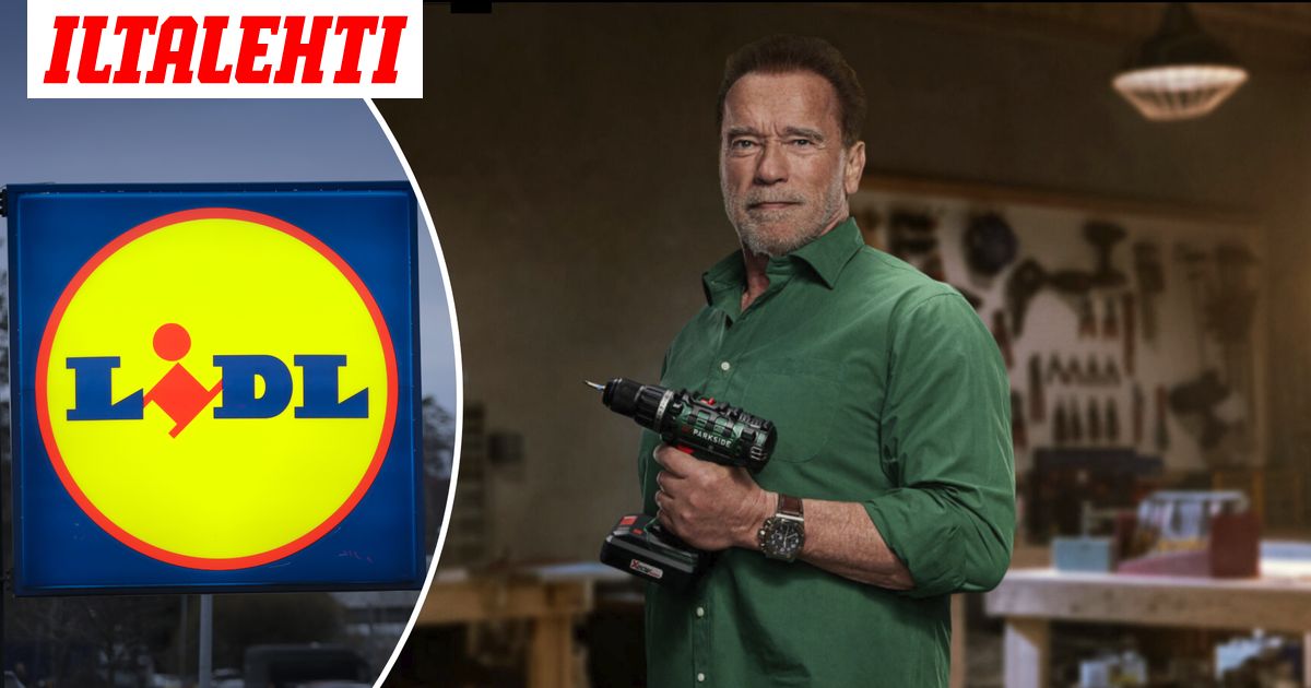 Lo de Lidl es de locos: ficha a Arnold Schwarzenegger para que cuelgue  cuadros con el taladro