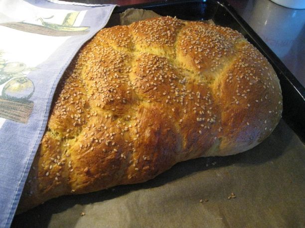 karvainen porno tähti kuvia