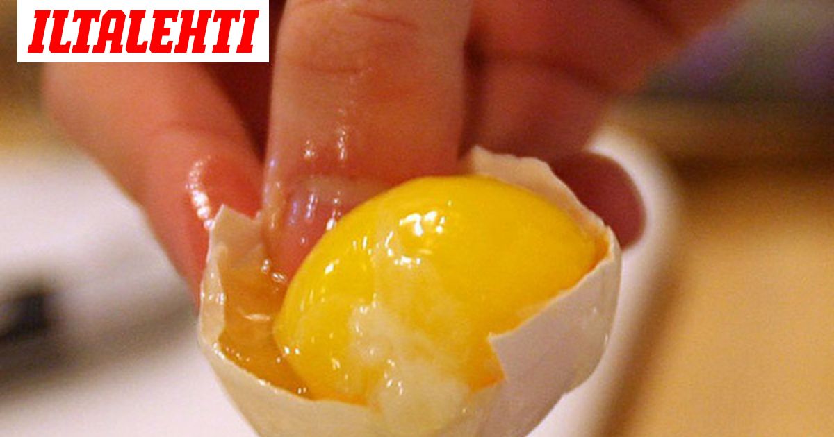 Huippukokki Kertoo Nain Varmistat Ettei Kananmuna Ole Pilaantunut