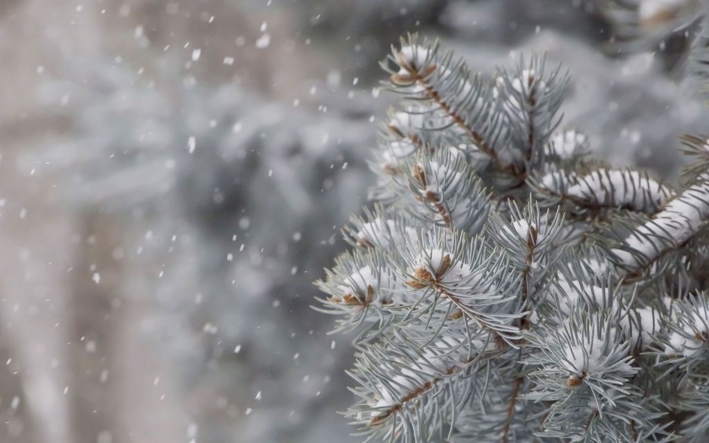 Lumisateet pyyhkivät Suomen yli, ja pakkanen alkaa hellittää