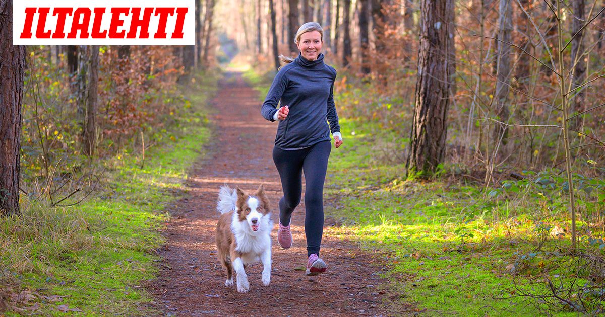 Kaupallinen yhteistyö VitaeLab: Nauti liikkumisen ilosta! Tämä ravintolisä on suunniteltu aktiivisen elämän tueksi - Vimarsana News