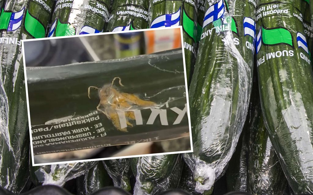 Davidin kurkusta pilkisti kuumottava yllätys