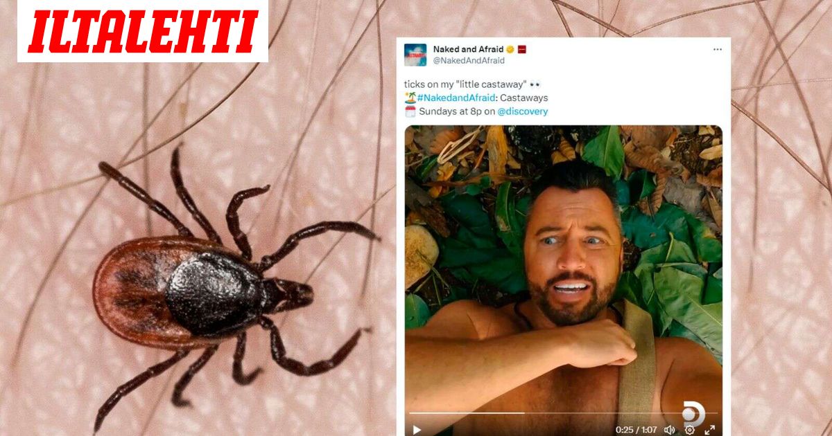 Alastomat Selviytyj t kilpailijan Kauhun Hetket Punkit Roikkuivat 