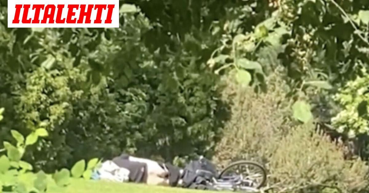 Seksiä puistossa keskellä päivää