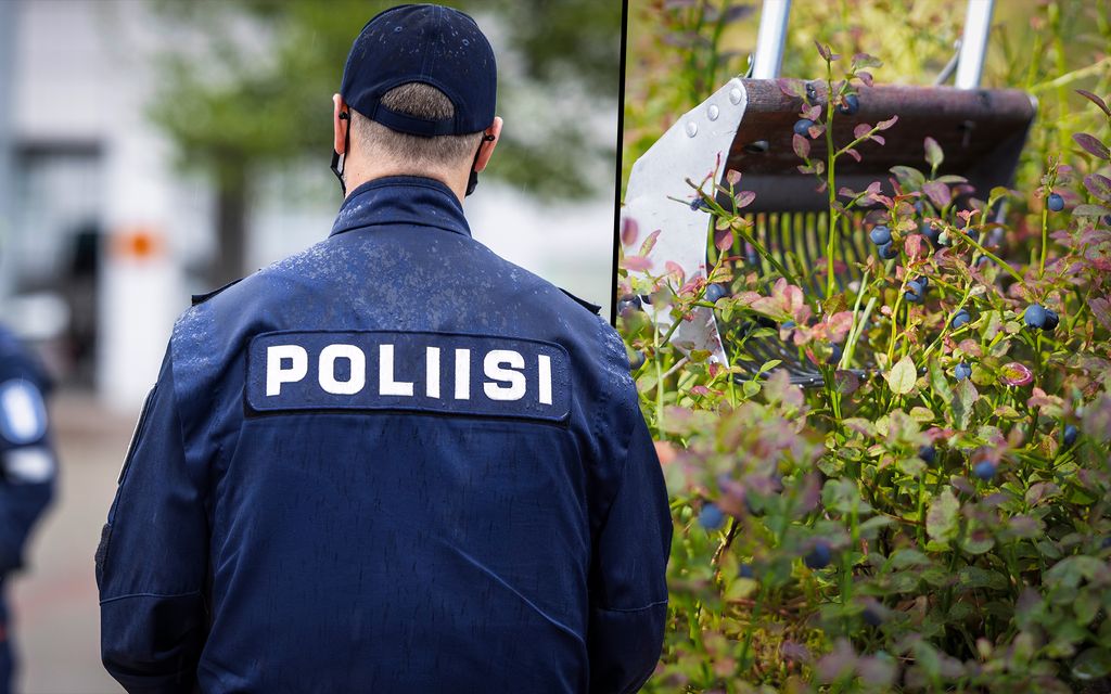 Suomalainen marjayritys epäiltynä ihmiskaupasta – kaksi henkilöä vangittu