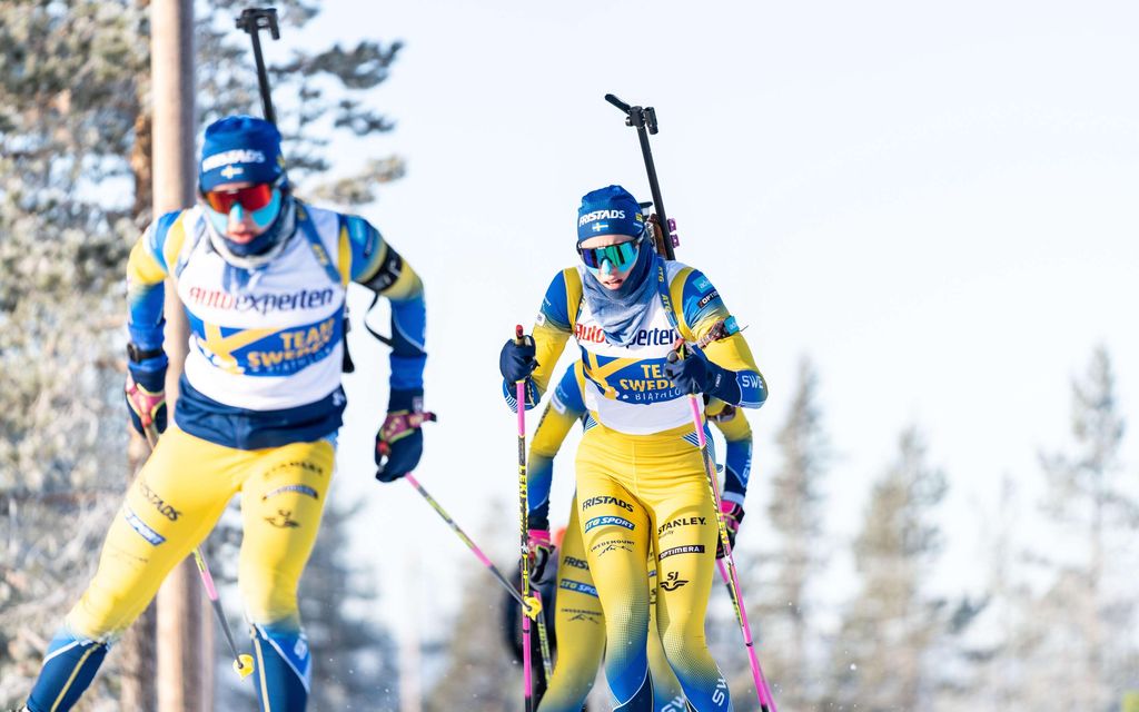 Lumikriisi Ruotsissa