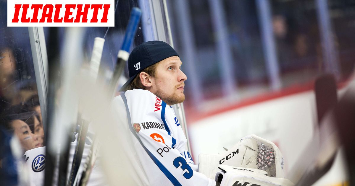 Leijonien maailmanmestari: Lapsi syntyi!