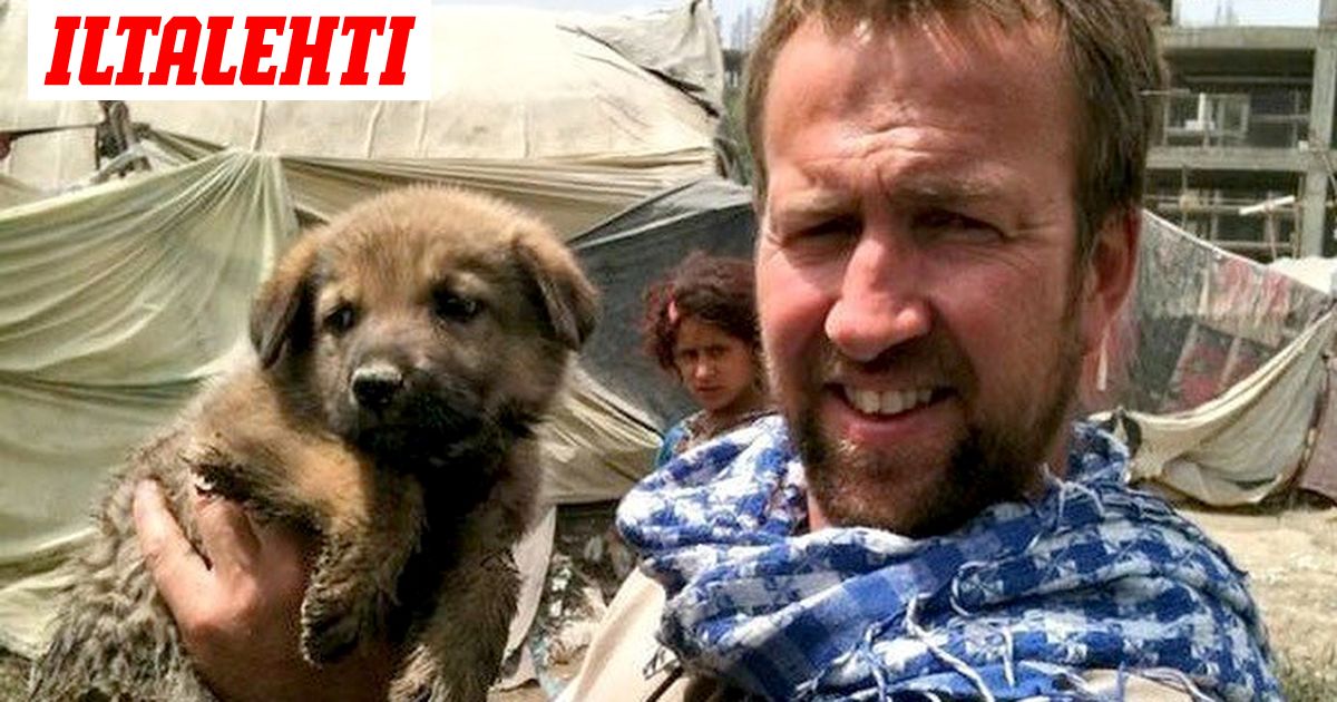 Evakuointeihin aikaa enää tunteja, britit tuovat Afganistanista orpokissoja ja -koiria - Vimarsana News