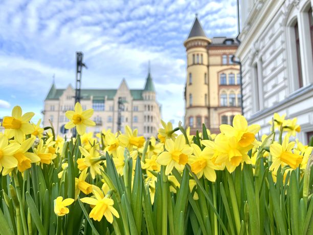 Lukijat valitsivat Suomen parhaan kaupunkikohteen – Kolmen kärki erottui  selvästi