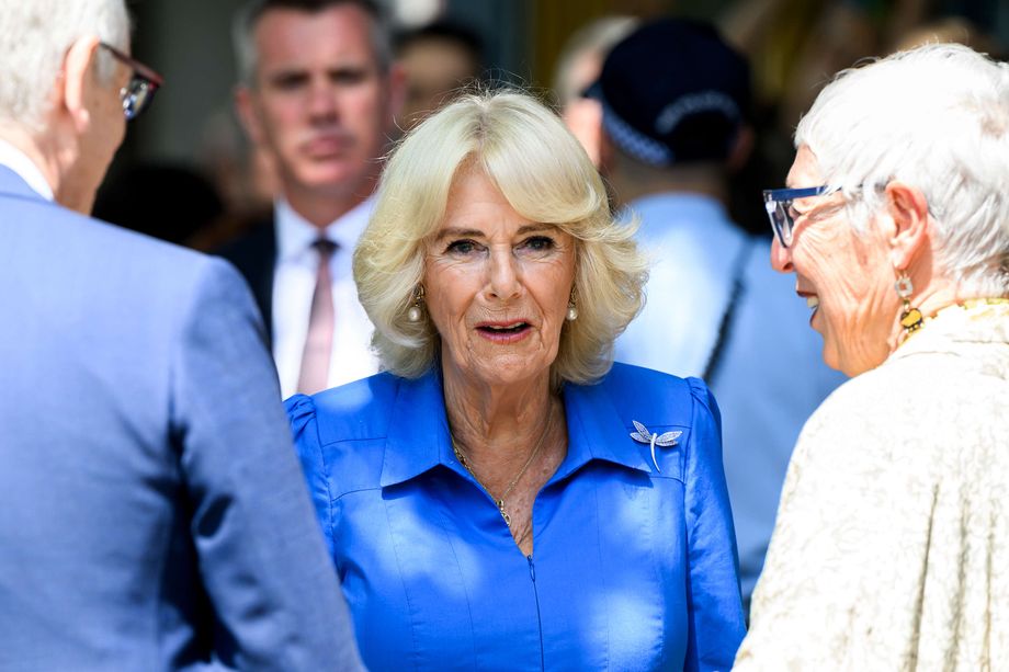 More information about Queen Camilla’s health
 –