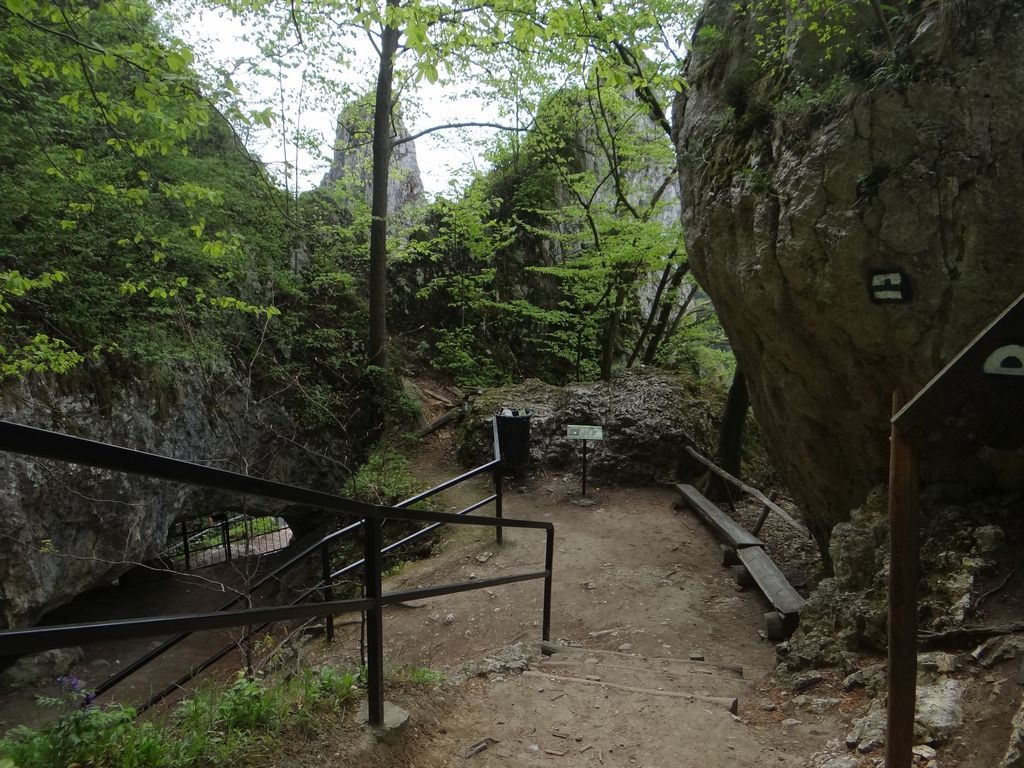 Tutkijat löysivät puolalaisesta luolasta pikkulapsen jäänteitä - reikäiset luut paljastivat muinaisen tragedian 