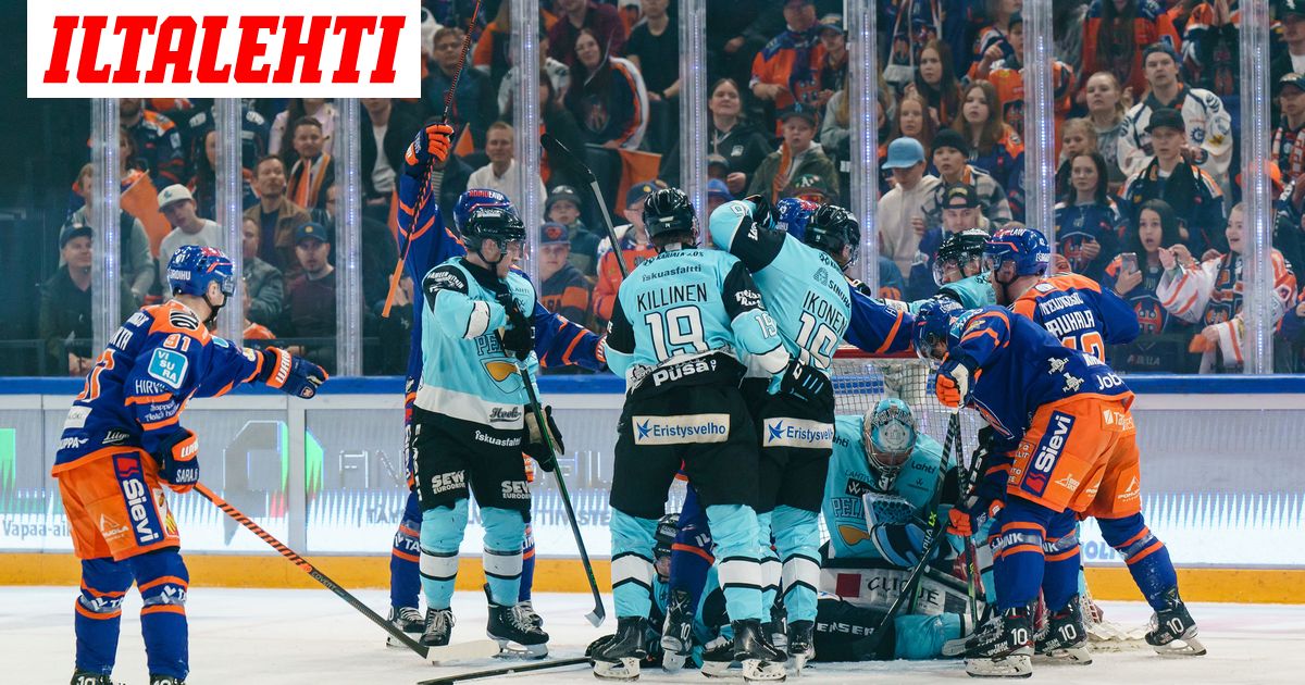 liigapomo-otti-pelicans-luotsin-juttusilleen-tied-n-ett-haluat